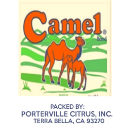 Camel Address